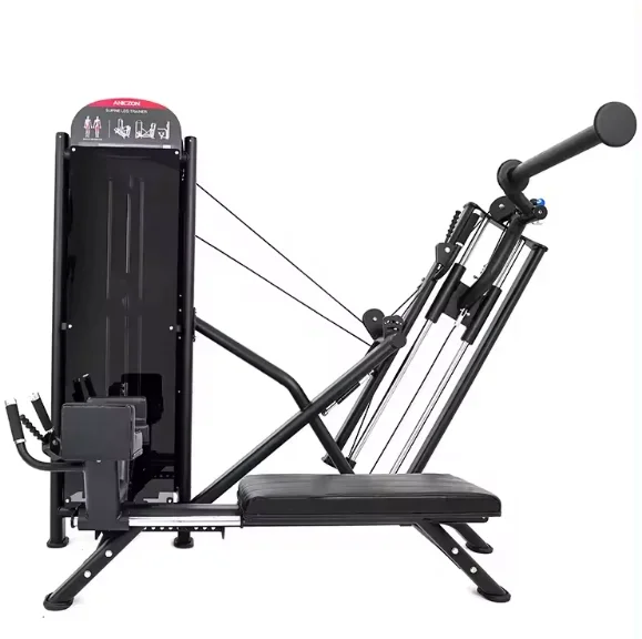 

Gym Commercial Hip Thrust Training Gluteus Muscle Master Trainer Huck Squat Leg Strength Fitness Equipment