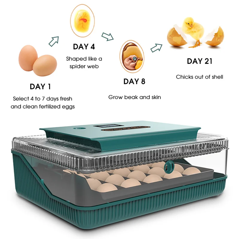 25 Eggs Fully Automatic Incubator, Temperature And Moisture Dual Display Led Egg Incubator, Chicken Duck Quail Egg Incubator