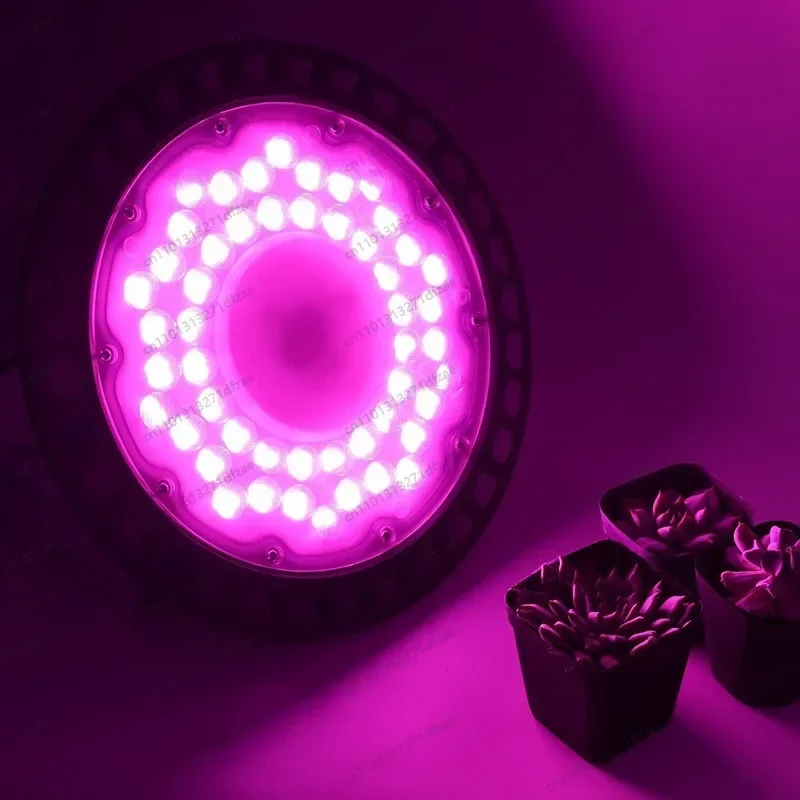 full-spectrum-ufo-plant-fill-light-led-lamp-for-indoor-succulent-flower-cultivation