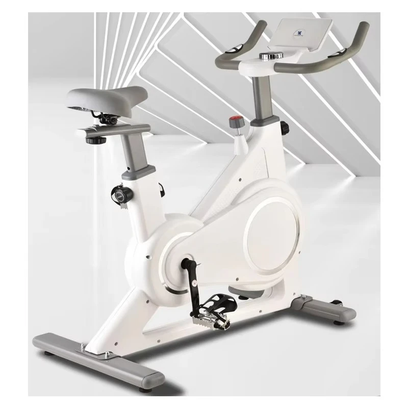 Mastering the Magnetic Static Exercise Bike: A Comprehensive Guide for ...