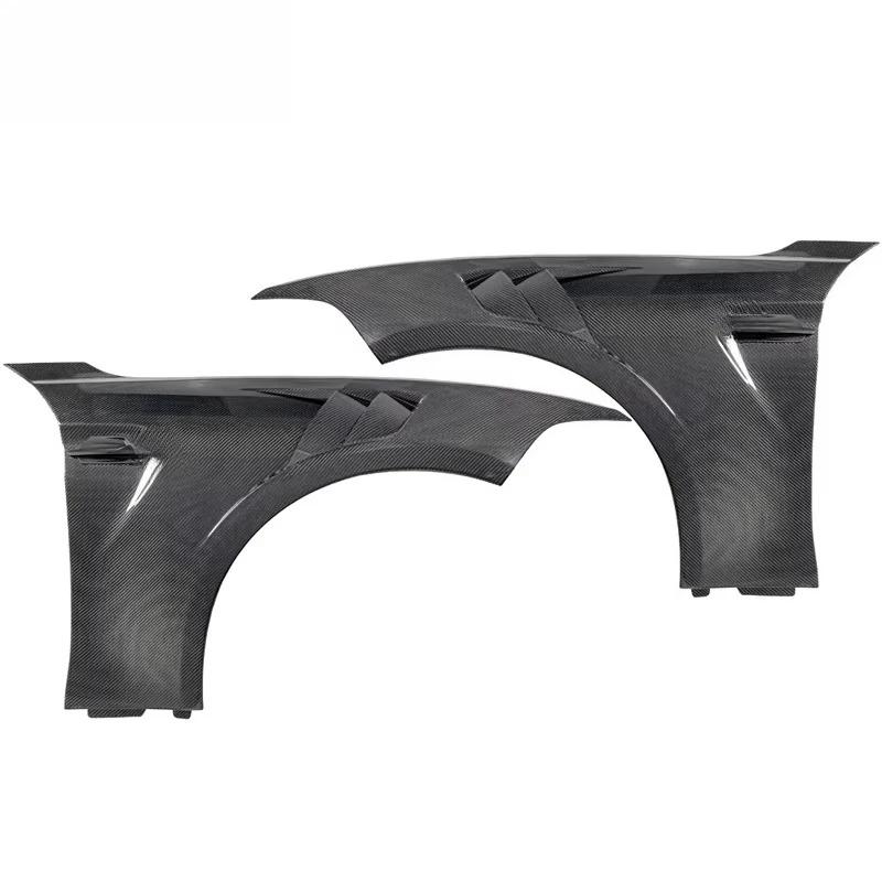 Carbon Fiber Fender…