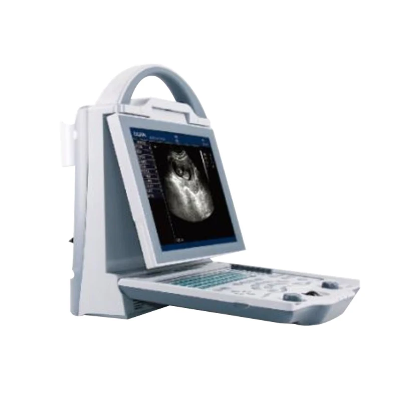 

HF-5600V Veterinary Clinic Ultrasound Machine Veterinary Ultrasound Machine