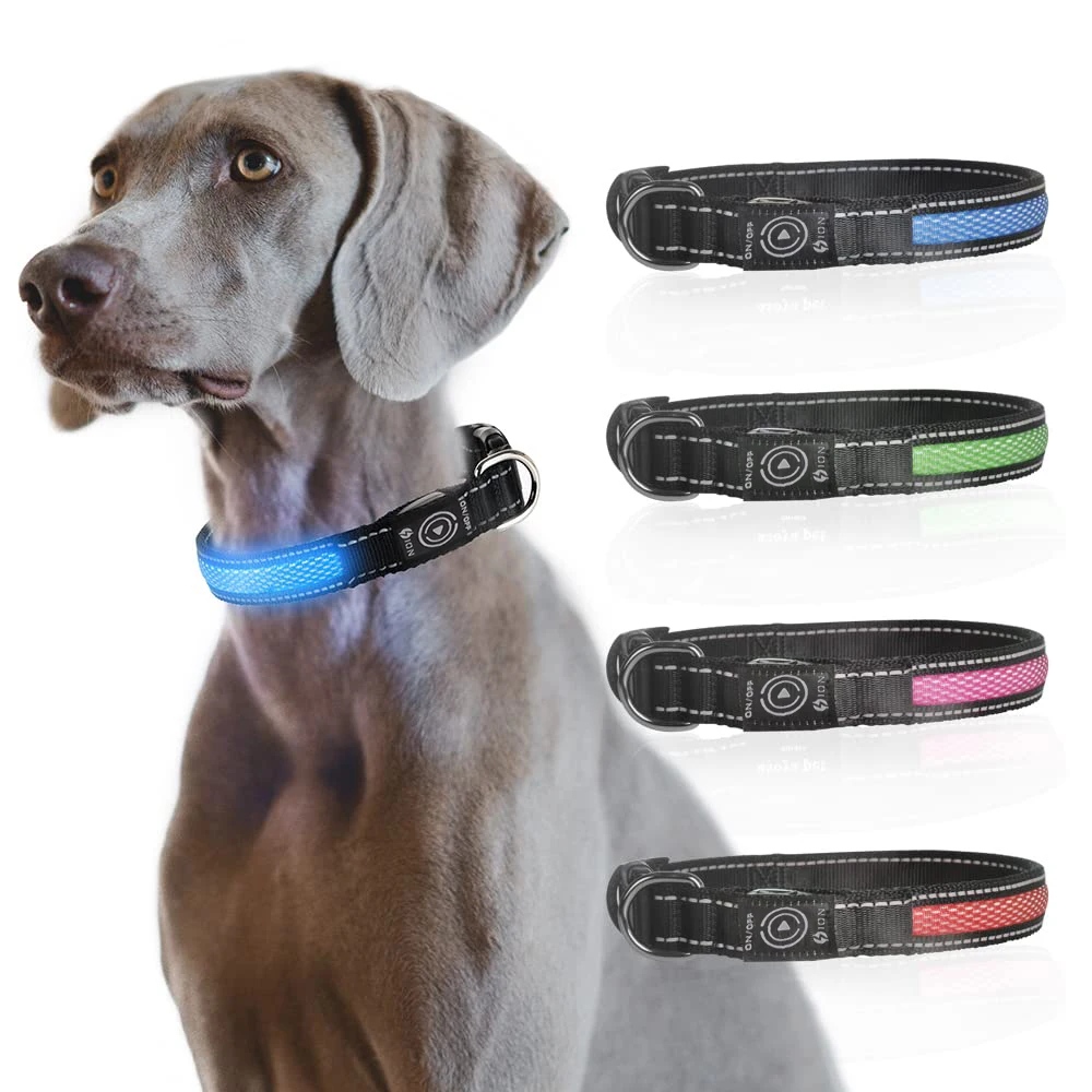 USB LED متوهجة طوق بكلاب قابل للتعديل وامض إعادة شحن مضيئة طوق بكلاب ليلة السلامة الحيوانات الأليفة قلادة توهج طوق للكلاب