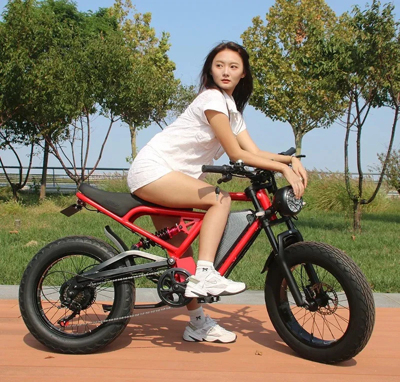 E-bike Factory 1500W motor electric city bike 20 inch off-road fat tires full suspension mountain urban ebike USA warehouse