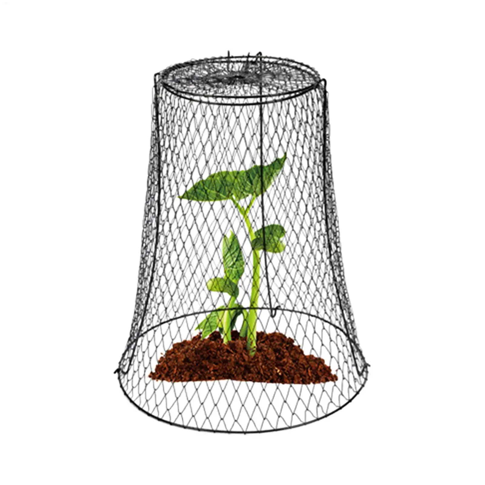 Metal Protection Cage Garden Cages Chicken Wire Cloche 16.5x11.8 Inch Heavy Duty To Keep Animals Out For Outdoor Strawberries