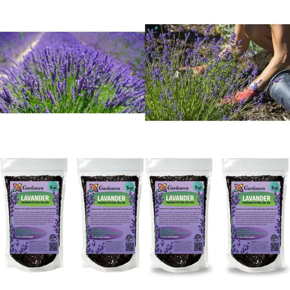 

Премиальный грунт для лаванды - 10 кварты высококачественной почвы для посадки