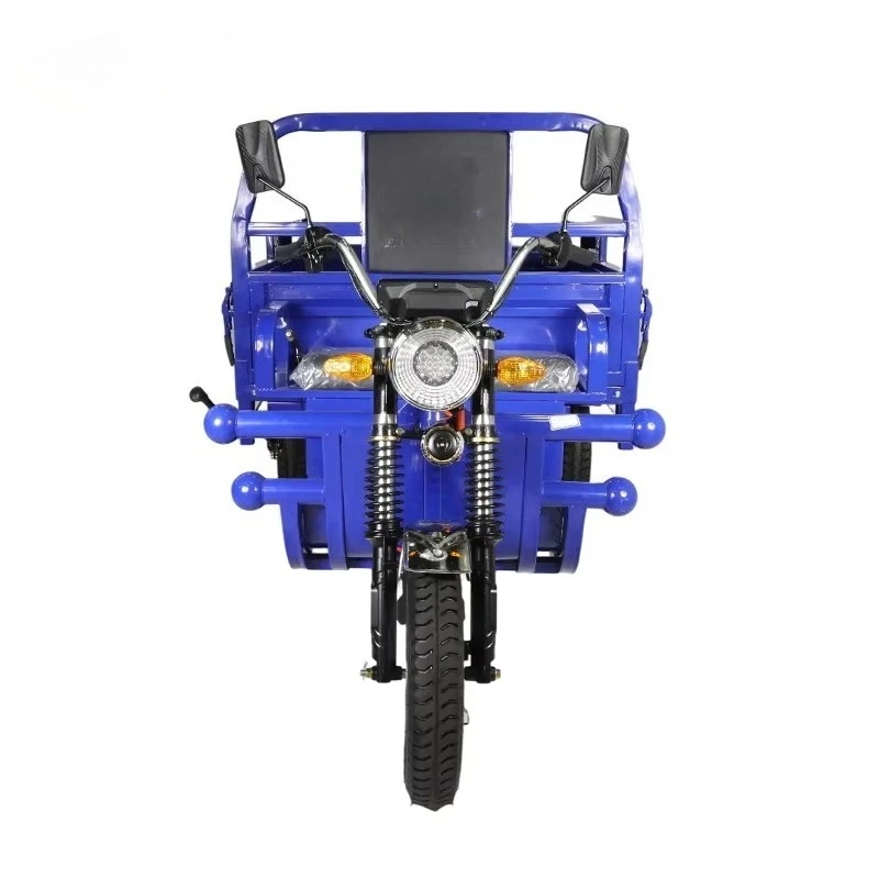 3-Wheel Passenger Cargo 650W 800kg Electric Tricycle Commercial Van Farm Logistics 60V 1.3m Flatbed