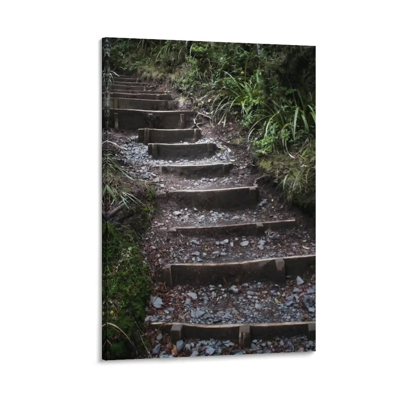 

Taranaki Falls Track New Zealand Forest Hiking Trail Canvas Painting wall decor anime poster anime decoration decor