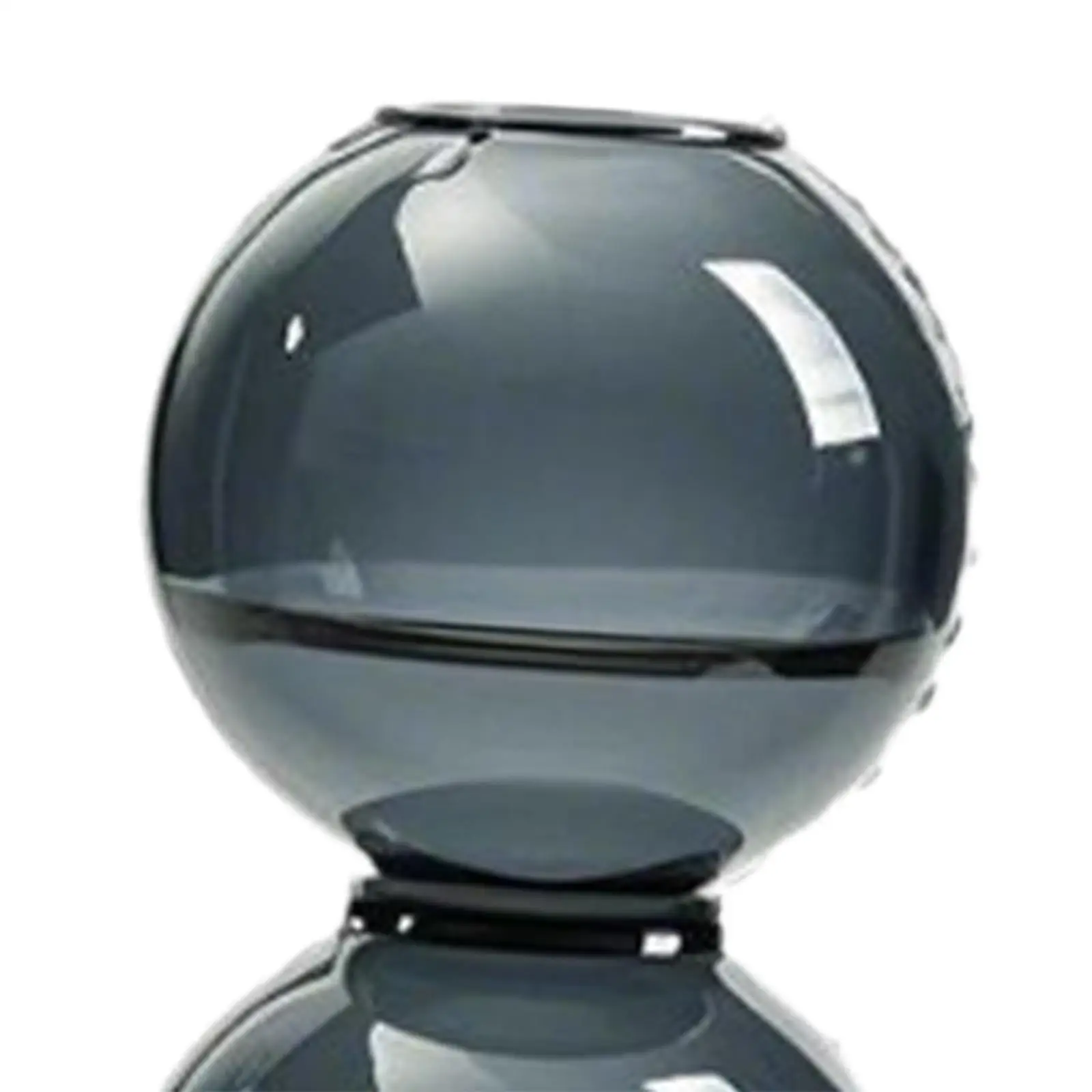 Glass Bubble Vase Birthday Gifts Minimalist Floral Arrangement Tabletop Decoration for Bedroom Shelf Cafe Wedding Room Porch