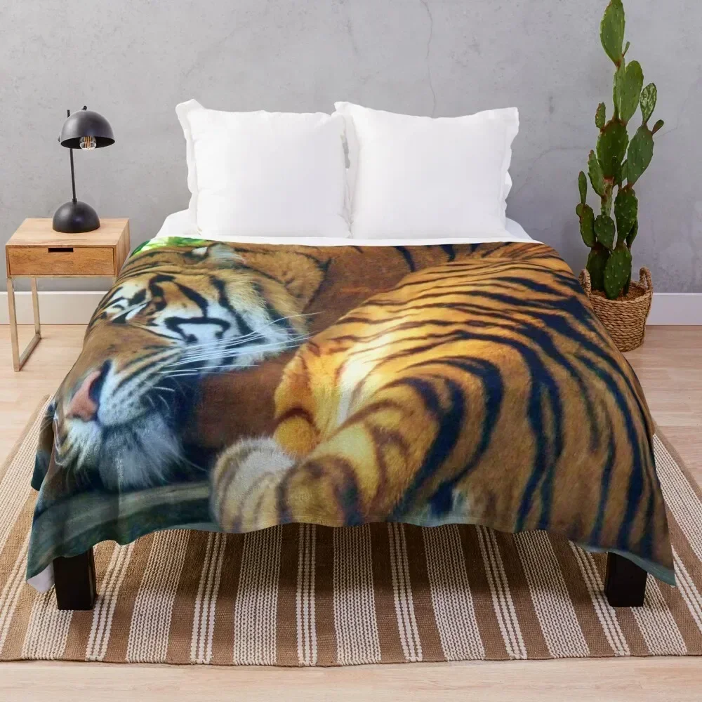 

Sleeping Beauty (white background) Throw Blanket Easy Care Comfortable Blanket for Couch