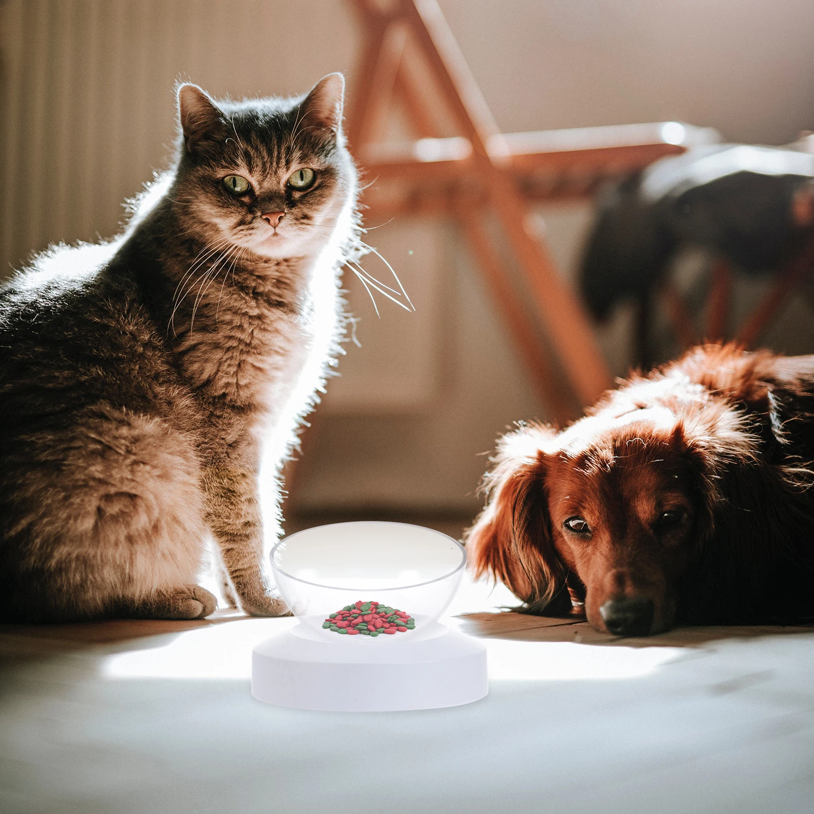 

Cat Bowl 20 Degree Adjustable Large Stable Base Detachable Design Anti-Skid Comfortable Pet Feeding Water Bowl