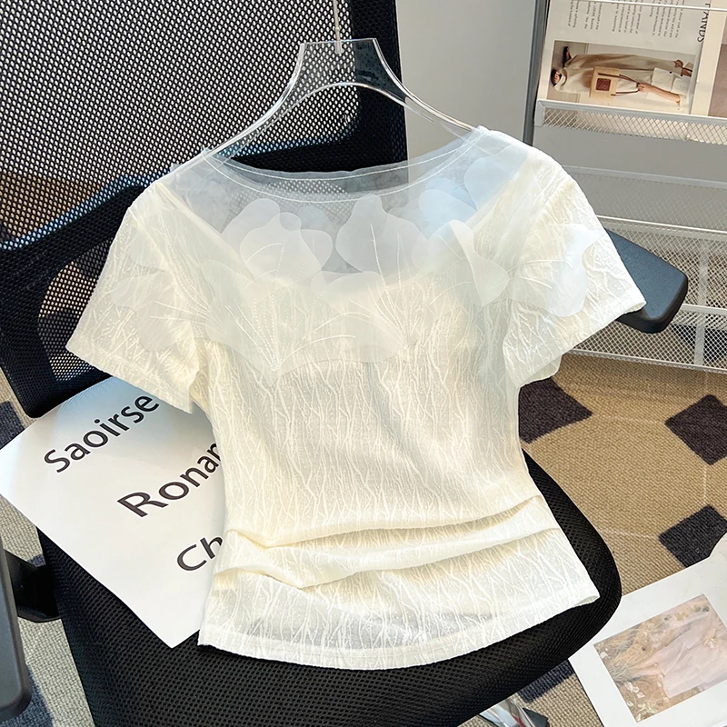 2024 Summer New O Neck Short Sleeve Solid Color Mesh Simple Elegant T-shirt Women