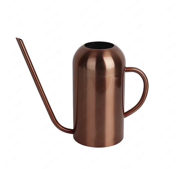 Stainless steel long nozzle flower watering kettle green plant succulent potted plant Nordic metal small watering can sprinkler