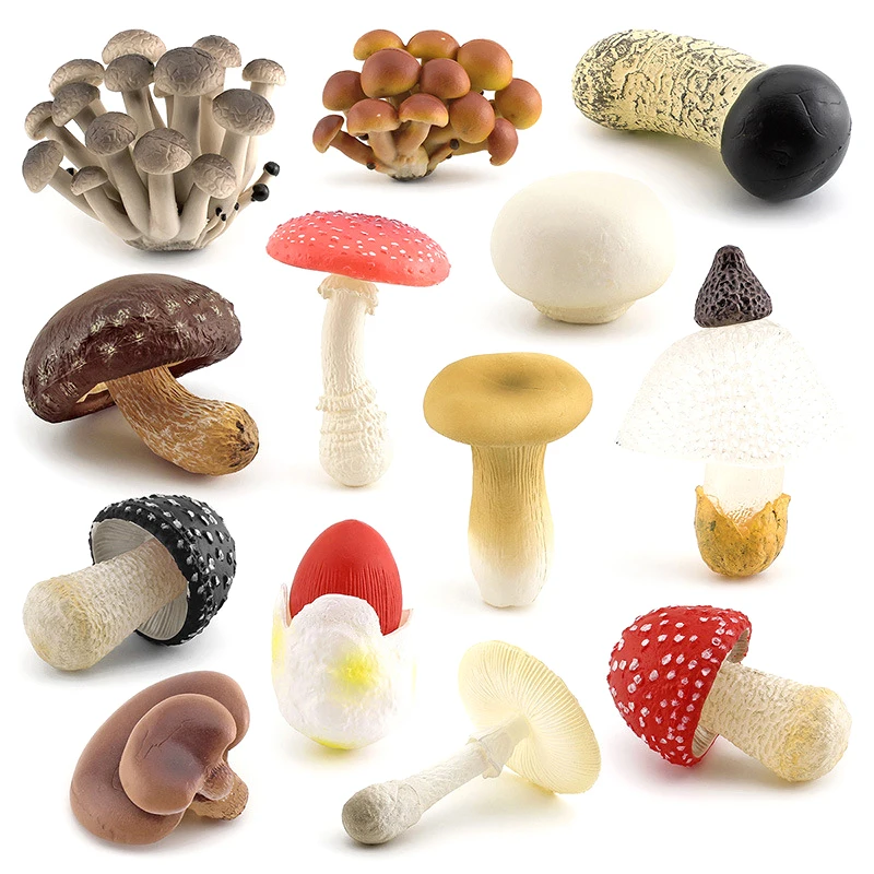 Simulation Mushroom Set Shiitake Mushroom True Ji Mushroom Slime Mushroom Matsutake Poison Rope Umbrella Twin Mushroom Model Toy