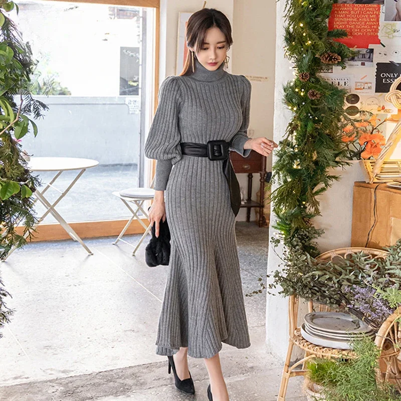 Fashion Autumn and Winter 2023 New Korean Style High Collar Slim Long Sleeve Frenulum Jersey Thick Midi Dress Women\'s Fashion