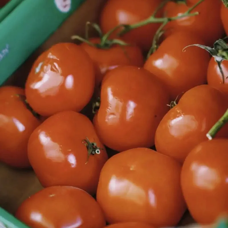 Kit de motor de chorro RC, barco de chorro subacuático, motor de propulsor CW CCW de 4 aspas/ESC sin escobillas 40A/Servo probador/transmisor de Radio DS600