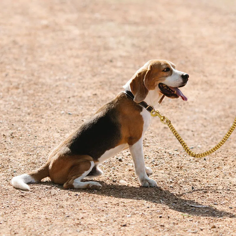 Metal Dog Leash Stainless Steel Chain 18K Gold Pet Lead with Soft Pu Leather Handle For Medium Large Dog Walking Training