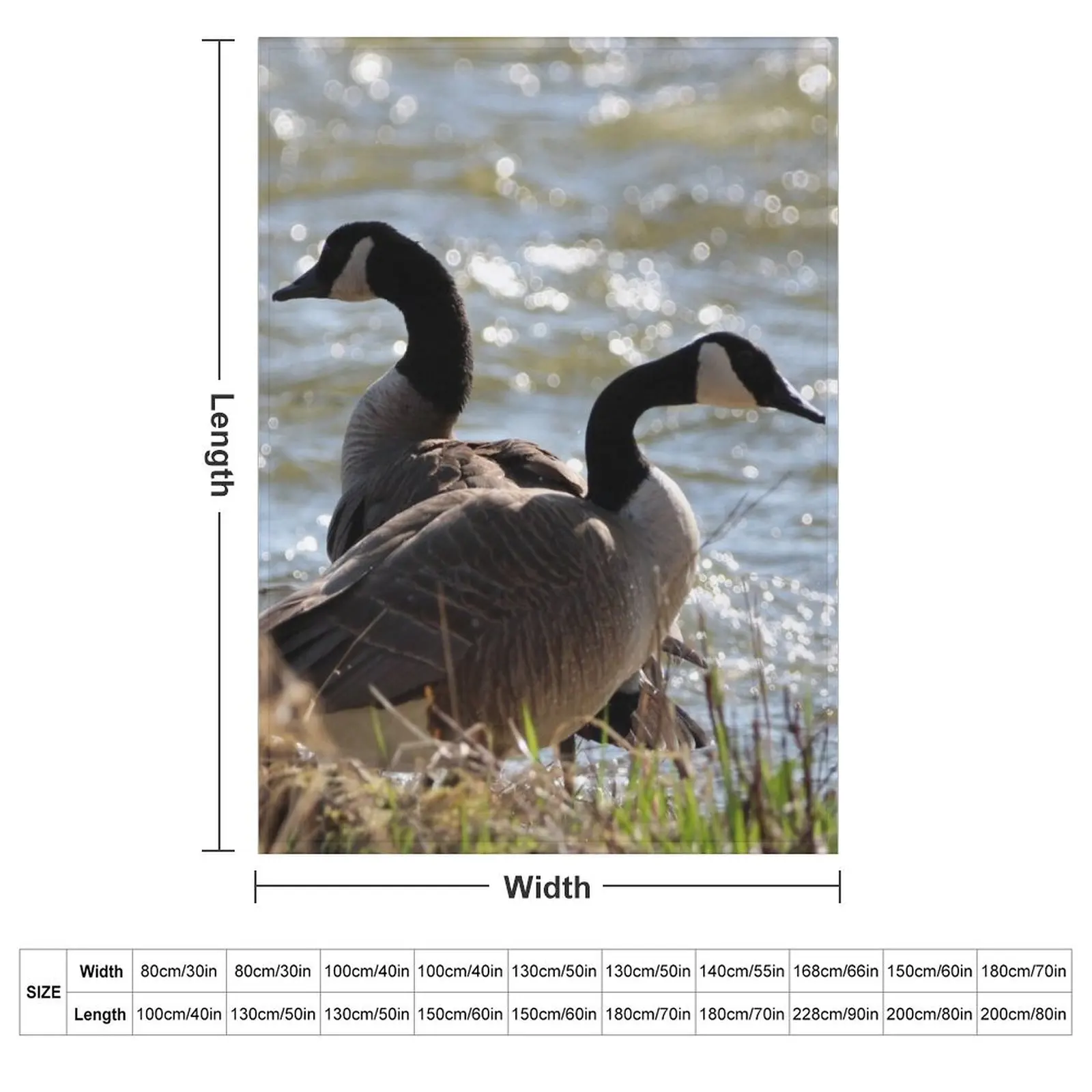 Pair of Canada Geese Throw Blanket Hairy Furry Blankets Sofas Of Decoration Sofa Quilt Blankets