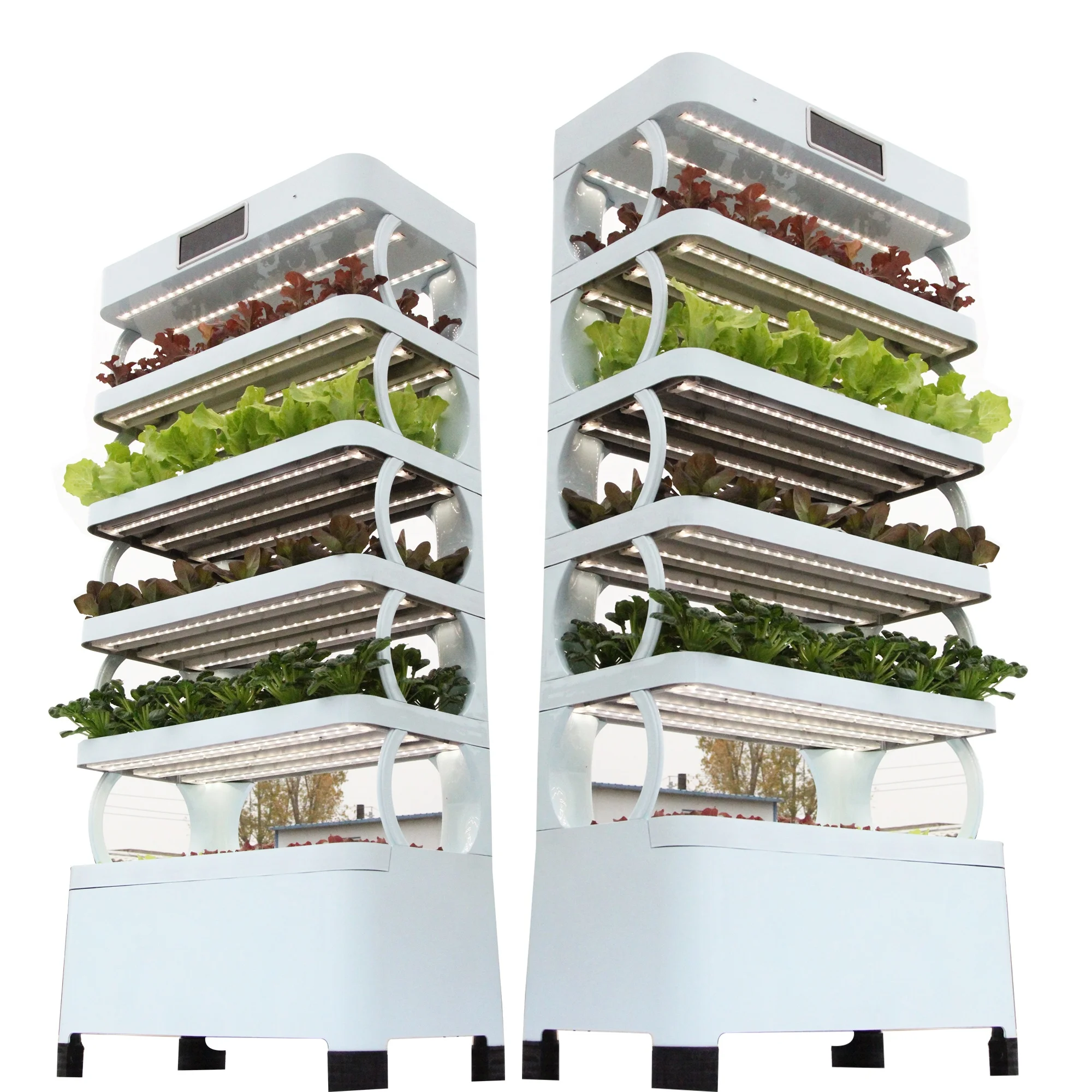 

Лист линии, овощи в помещении, домашние системы выращивания гидропоники, интеллектуальный управляемый дом, умная ферма