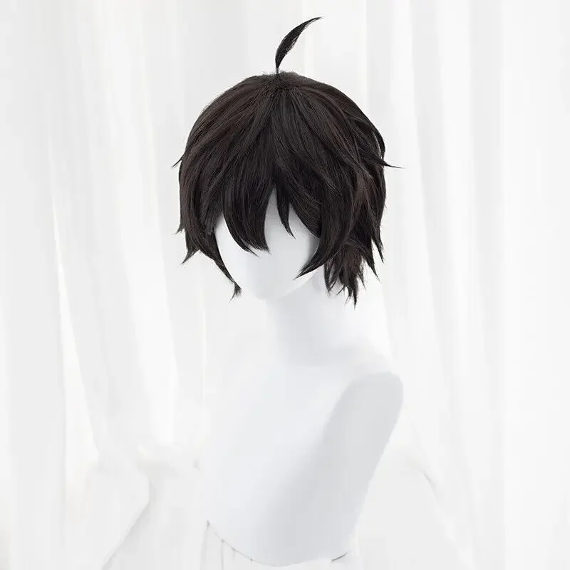 Honkai: parrucca Cosplay Star Rail Dan Heng 30cm parrucche sintetiche da uomo nere corte