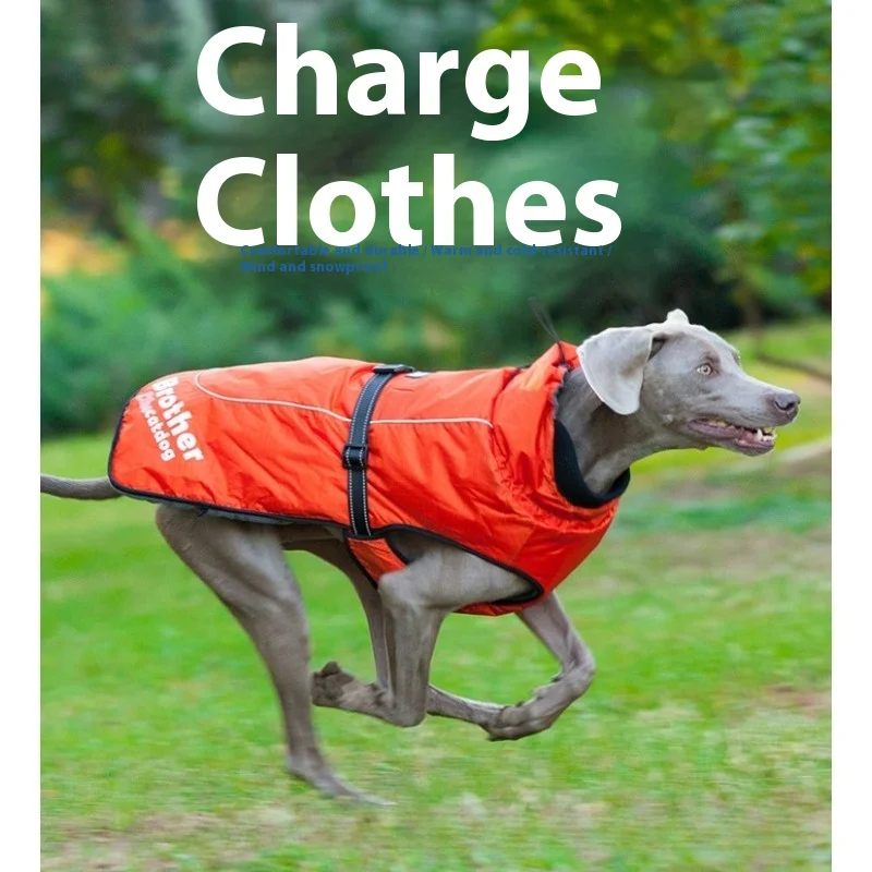 

Одежда для собак, термотеплый жилет для больших пород, зима-лето, легкая светоотражающая уличная одежда