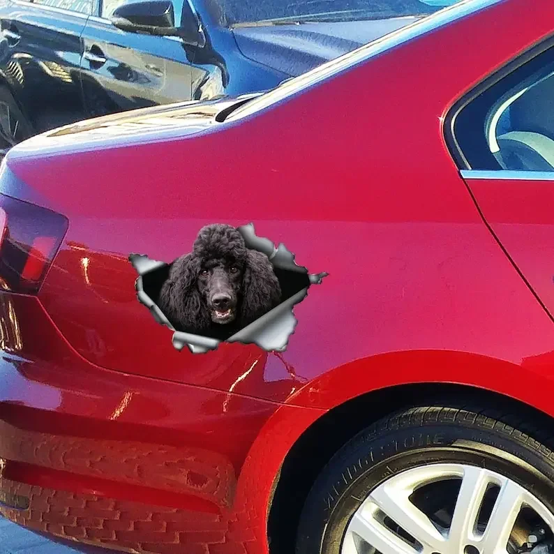 Black Poodle decal , Black Poodle magnet, Poodle sticker,car decal