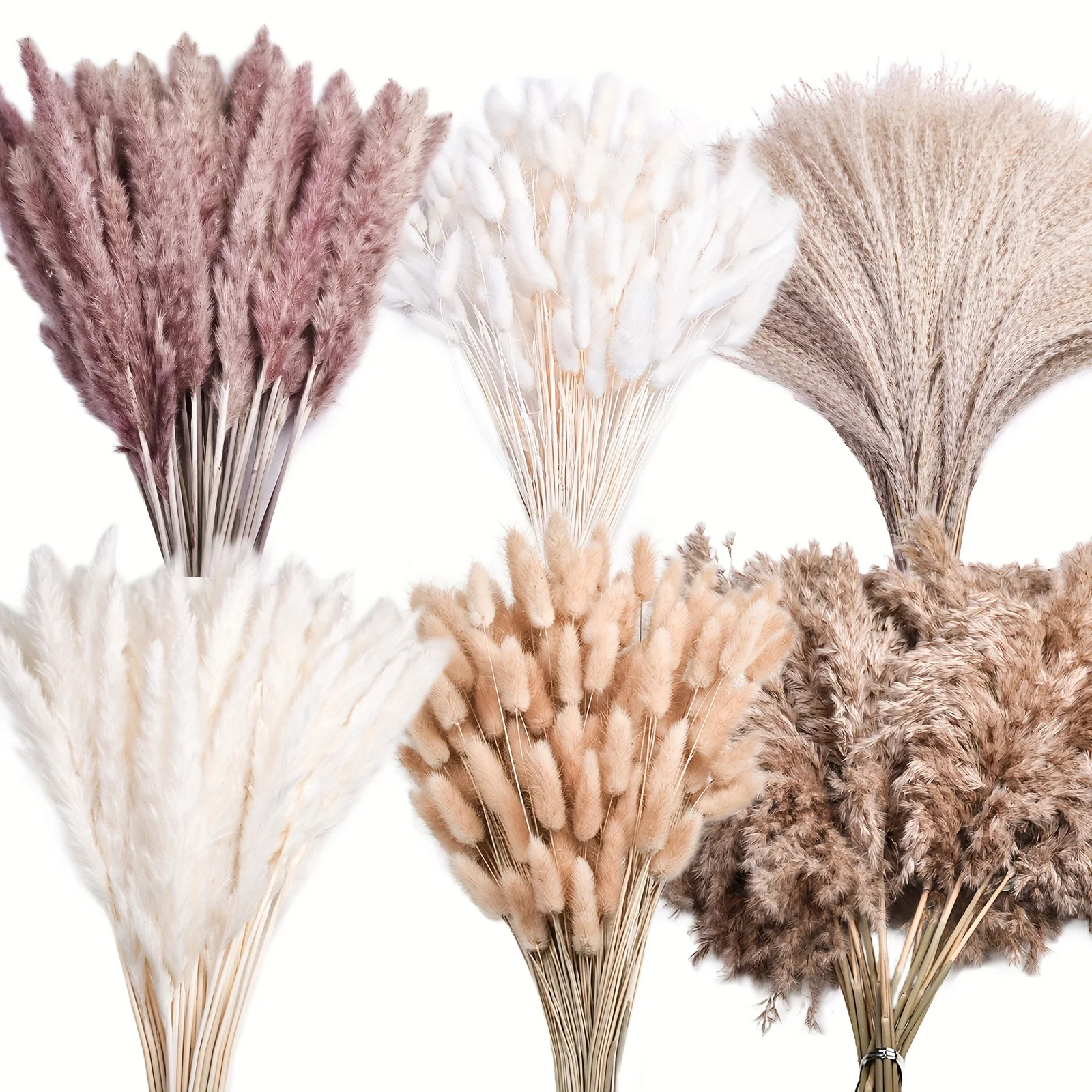 138pcs Fluffy Pampas Dried Flowers Bunny Tails Grass Boho Bouquet Home Background Decor Dry Flower Pompous Wedding Decorations