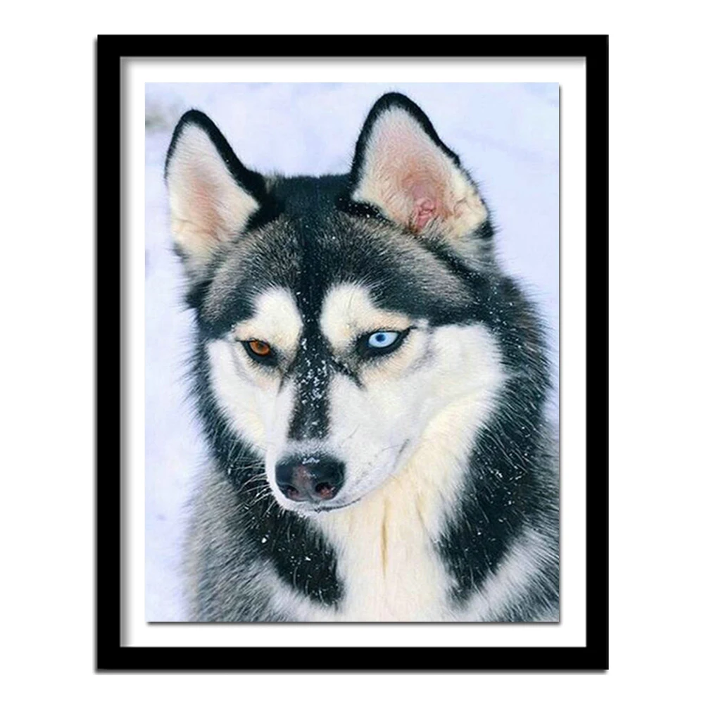 5D Diy Diamond Painting snow dog ,Stitch Cross,full Diamond Embroidery Husky Diamond  Stickers Home Decor