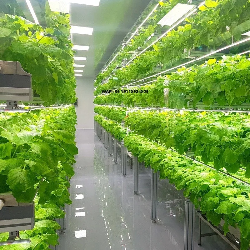 Large Greenhouse Vertical Hydroponic Farming System with Temperature Control Automatic Work Shipping Container Farms for Sale