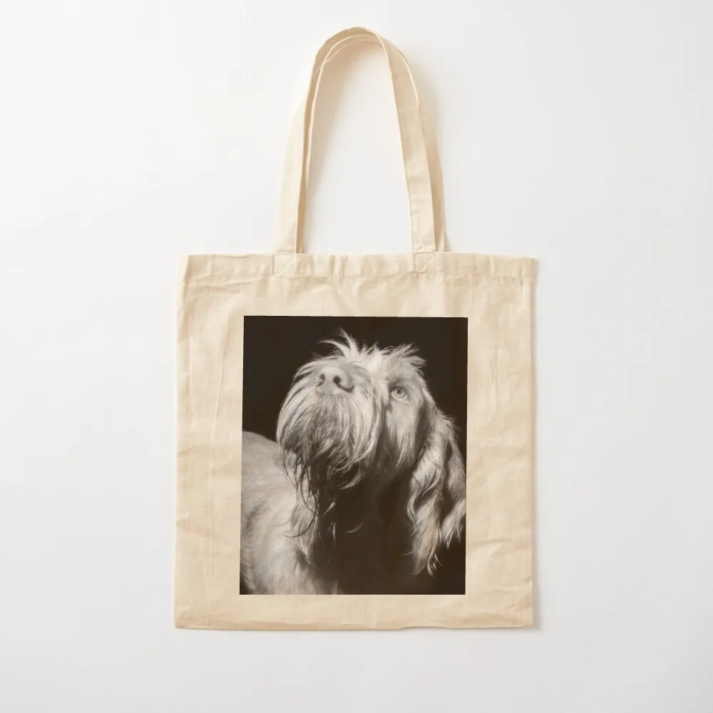 Stars above Spinone Tote Bag tote bag canvas great bag Canvas Tote