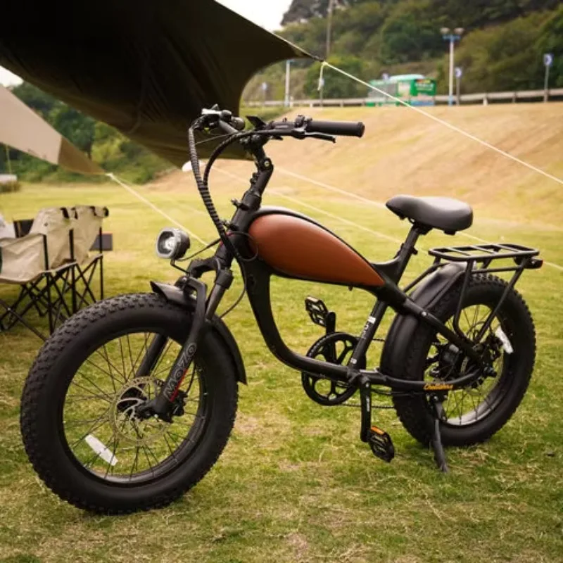 

20x4.0 Fat Tire E-Bike for Women C900 Display Lithium Battery Adult Electric Bicycle