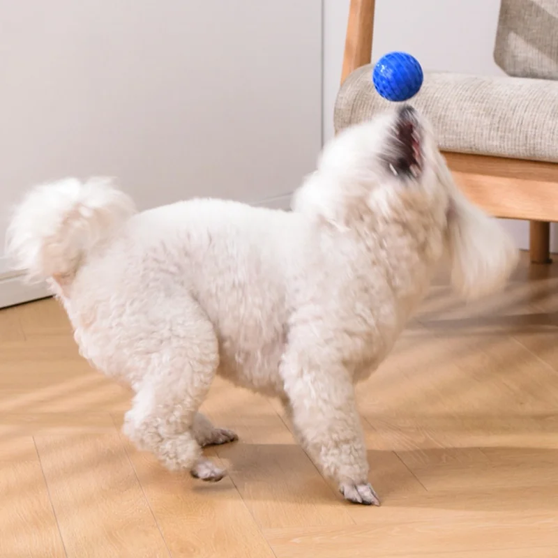 Thumbnail 4 - #73 Best Dog Balls to Buy In 2026