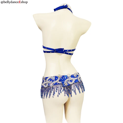 Imagen 2 del producto Traje de danza del vientre para mujer, Conjunto de sujetador y cinturón, ropa de Samba Sexy, novedad