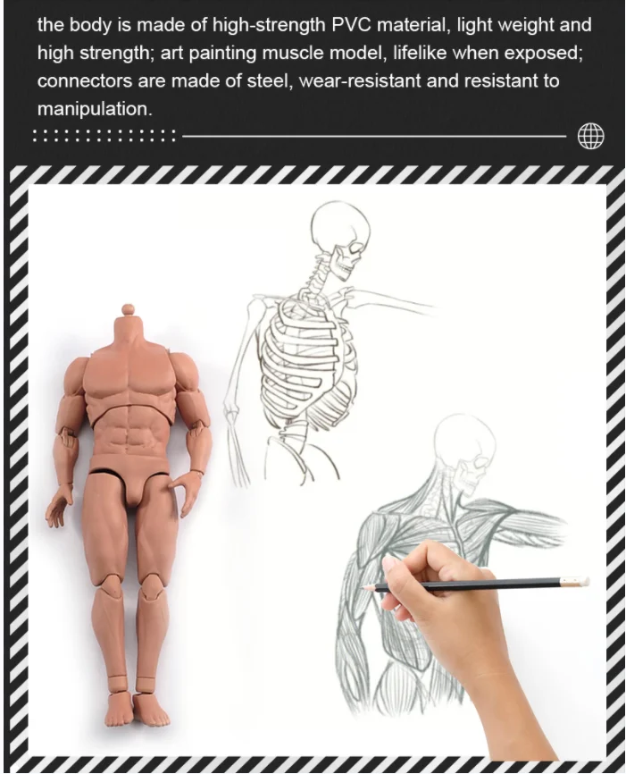 1/12 Schaal Mannelijke Actiefiguur Body Met Hoofd 6 ''Soldaat Muscale Sterk Figuur Pop Speelgoedmodel In Hoogte Verstelbaar