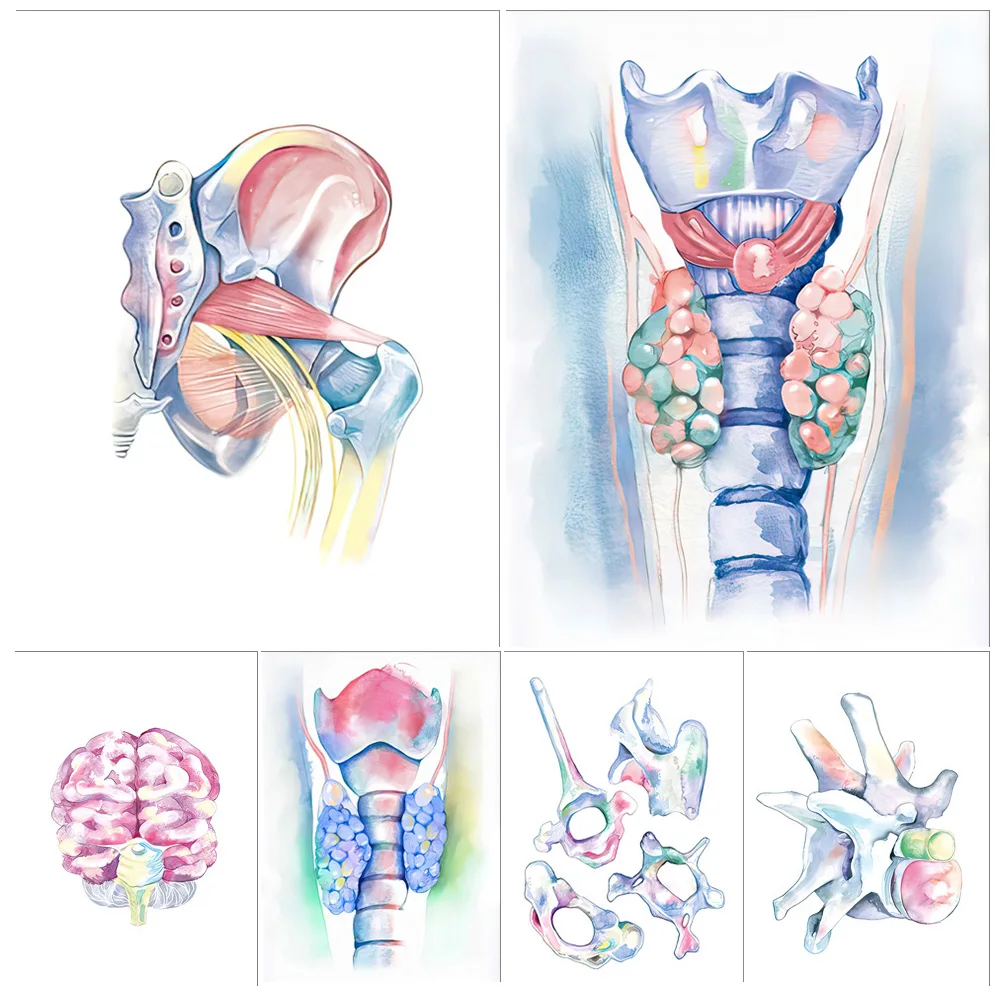 Medical Brain Thyroid Anatomy Nervous System Poster Wall Art Canvas Painting Home Decor Wall Pictures For Living Room Unframed