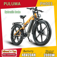 Electric Bicycle PULUMA PH003 2000W Dual Motor 48V20AH Lithium Battery Hydraulic Brake E-bike 26*4.0 Inch Fat Fire Electric Bike