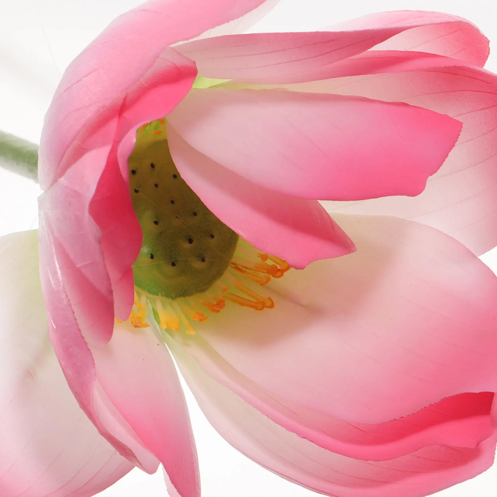 

1 set 1 Set Lotus-Flower Pick Lotus Leaf Pick Simulated Flowers For Decoration Flower Decor For Garden Pond Aquarium Home