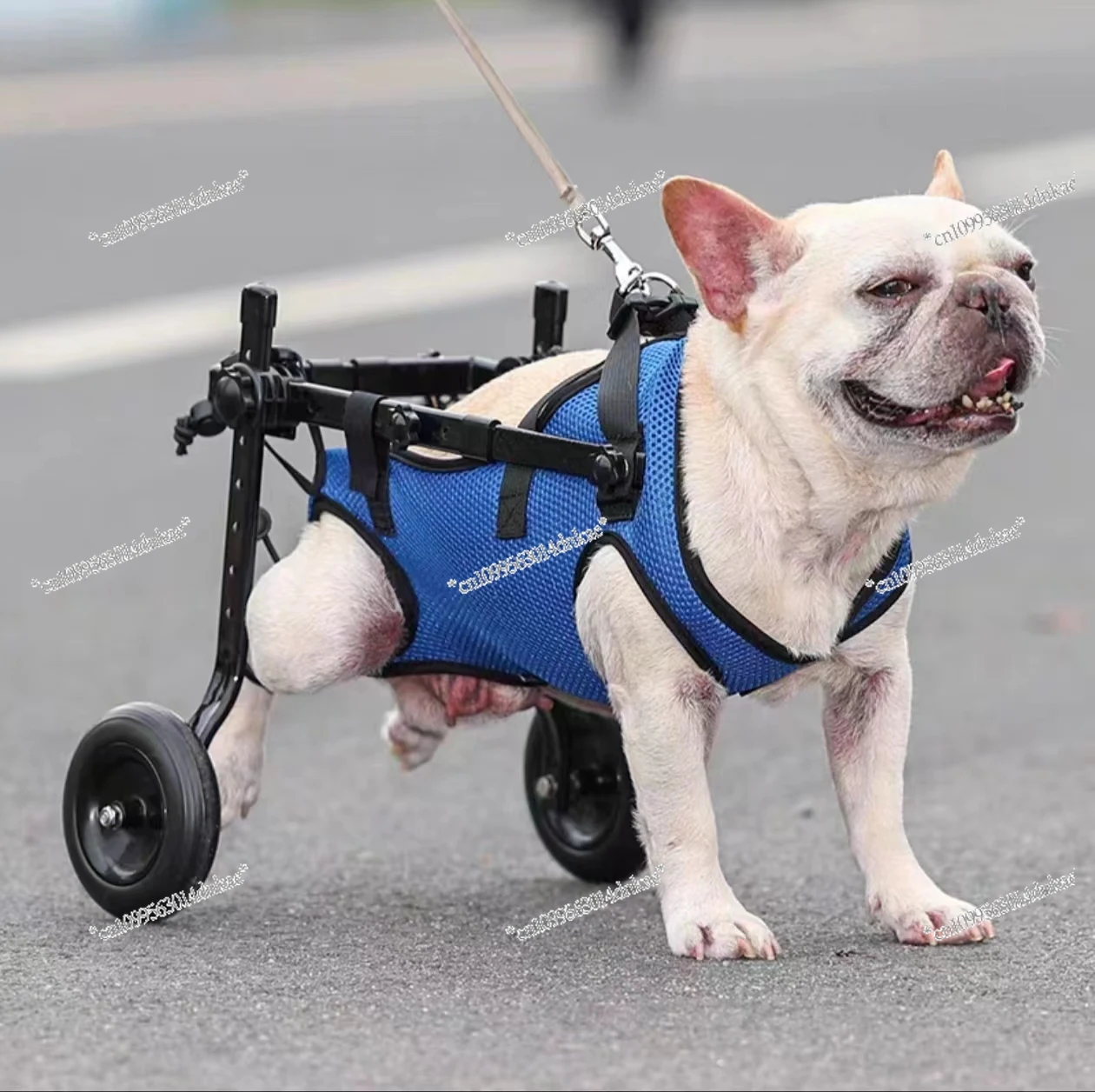 Pet Dog Wheelchair Hindlimb Disability Paralysis Rehabilitation Vehicle Animal Assist Stand for Rehabilitation