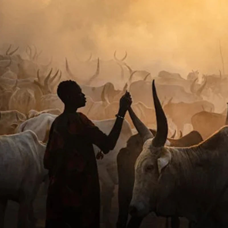 

iFlight BLITZ Mini F7 Flight Controller Stack OSD（AT7456E）W/ BLITZ E55 4-IN-1 ESC DShot150/300/600 2-6S for FPV Racing Drone