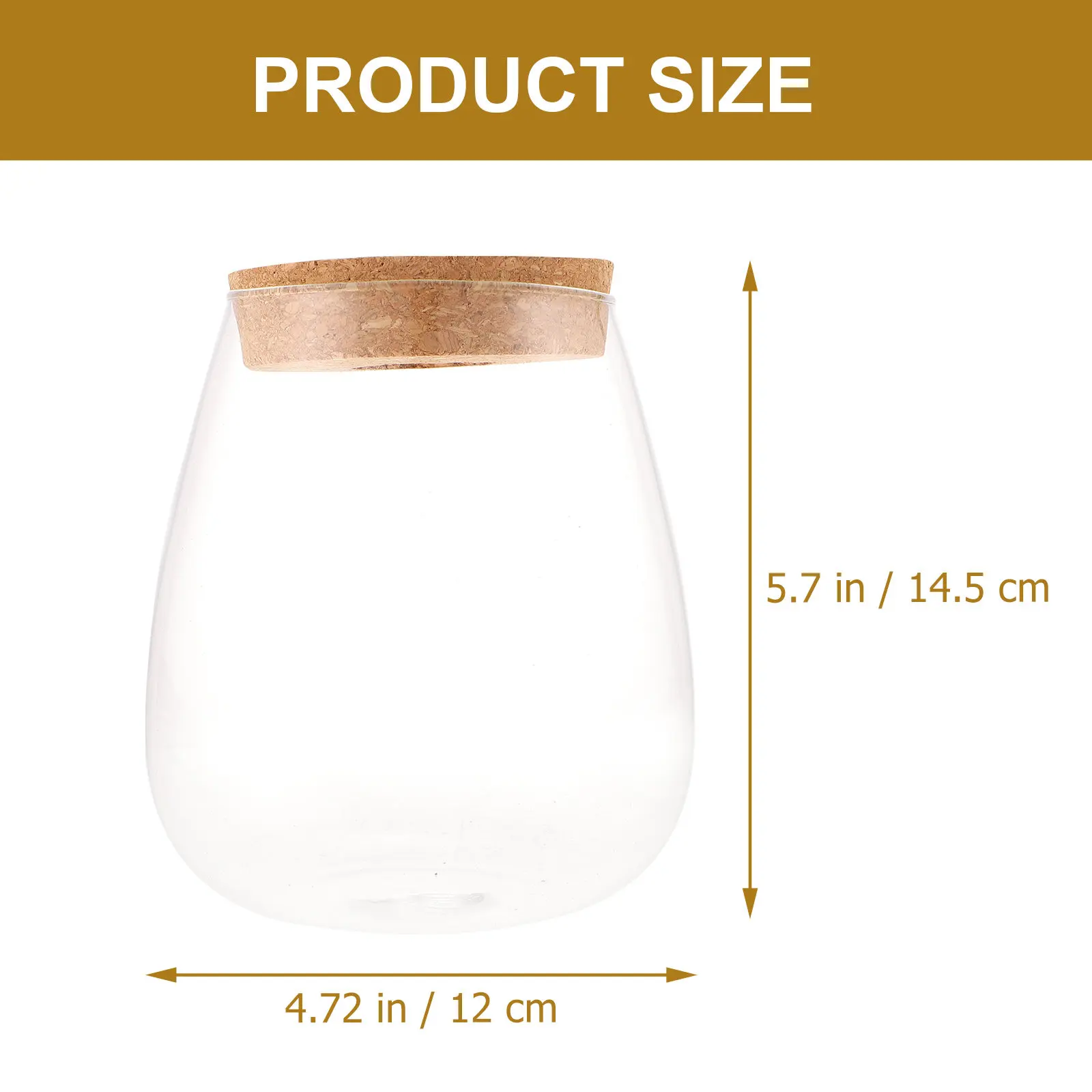 Bryophyte Ecological Bottle DIY Microlandscape Creative Hydroponic Vase Desk Glass Planter Flower