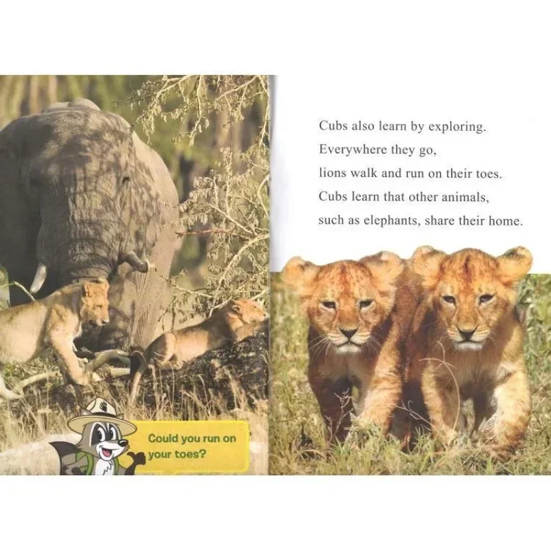 English Original I Can Read Phase One Ranger Rick Children's Graded Animal Science Books 11 Volumes DIFUYA