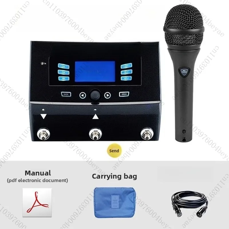 

Vocal electric acoustic guitar reverb synthesizer