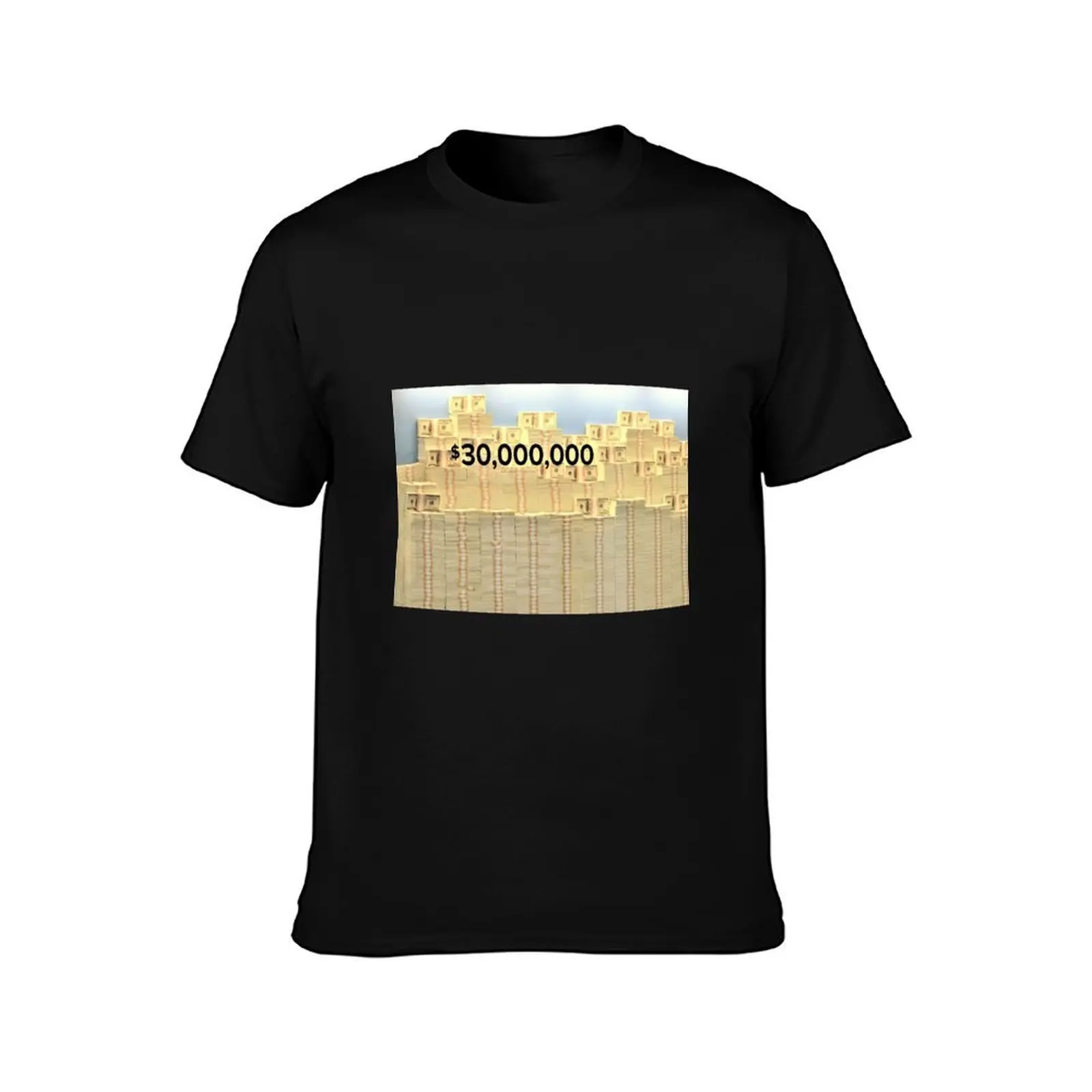 Thirty Million American Dollars in cash. T-Shirt Holiday Lightweight T-Shirt