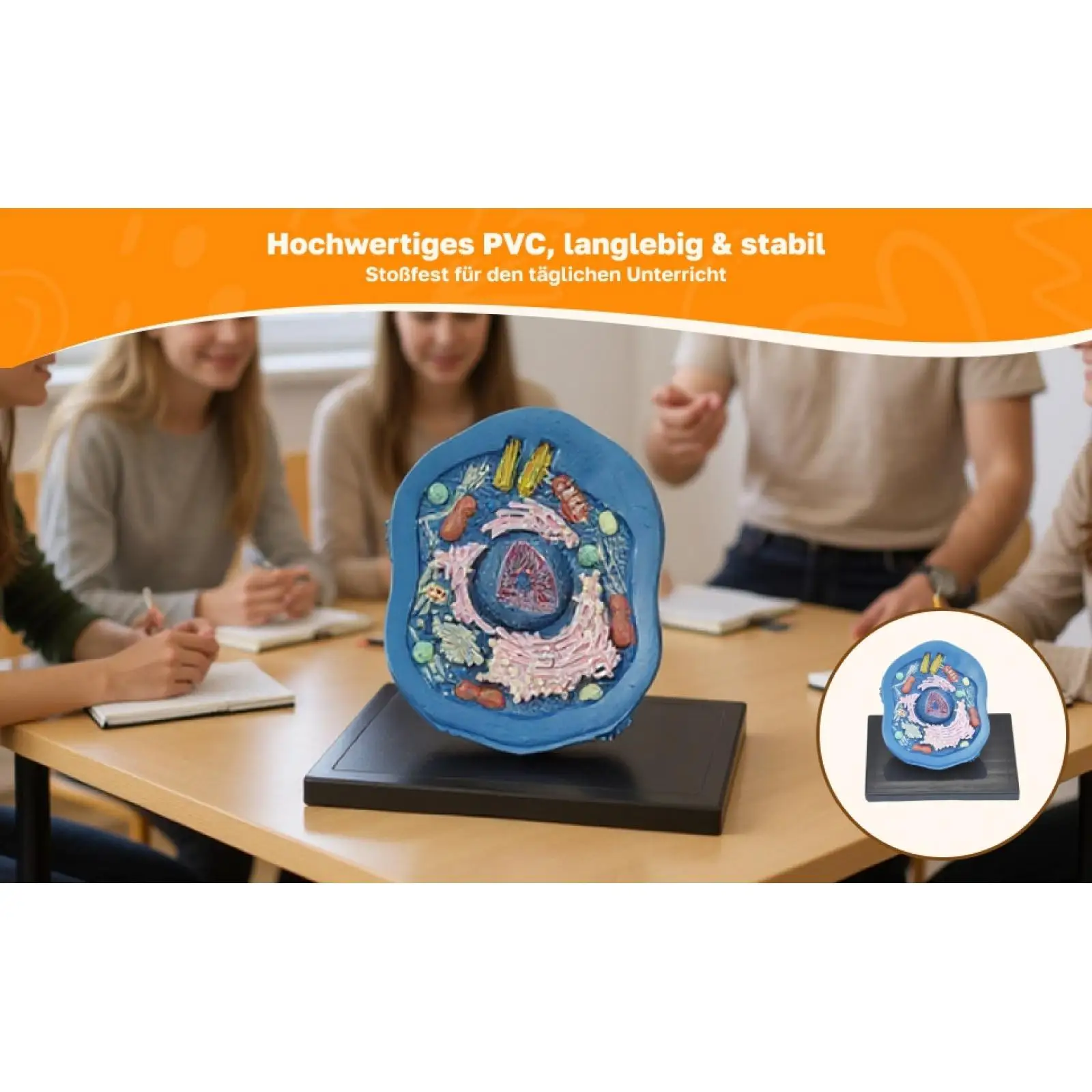 نموذج تشريح الخلوية الحيوانية مجموعات العلوم التعليمية مجموعات الجذعية نموذج تجريبي نموذج تشريحي لوازم التدريس للدراسة #1