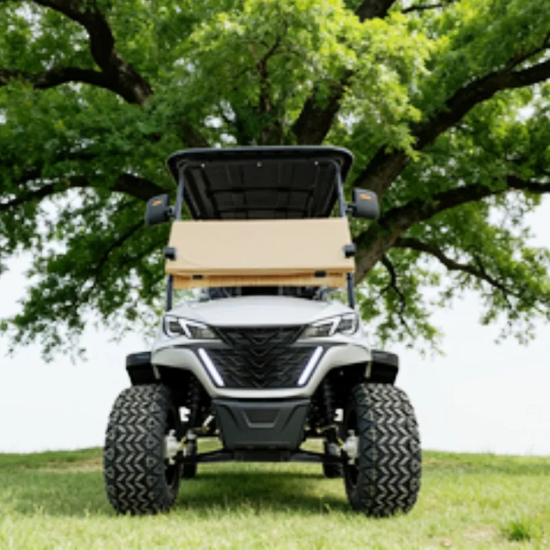 

Golf Cart Street Legal Lithium Battery Customize Seat Chair Black Leather Adult Buggy Electric Golf Cart With Folding Windshield
