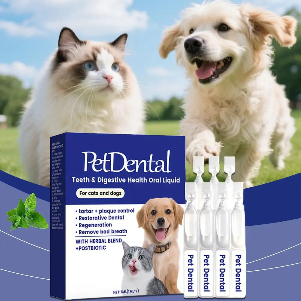Pet Dental Care Water Additive for Dogs Cats Plaque Tartar Control Fresh Breath with Seaweed Herbal Extracts Easy Use Liquid