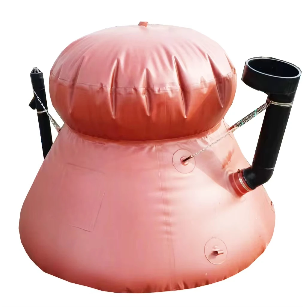 Household Biogaz Digester System Convert Organic Waste to Cooking