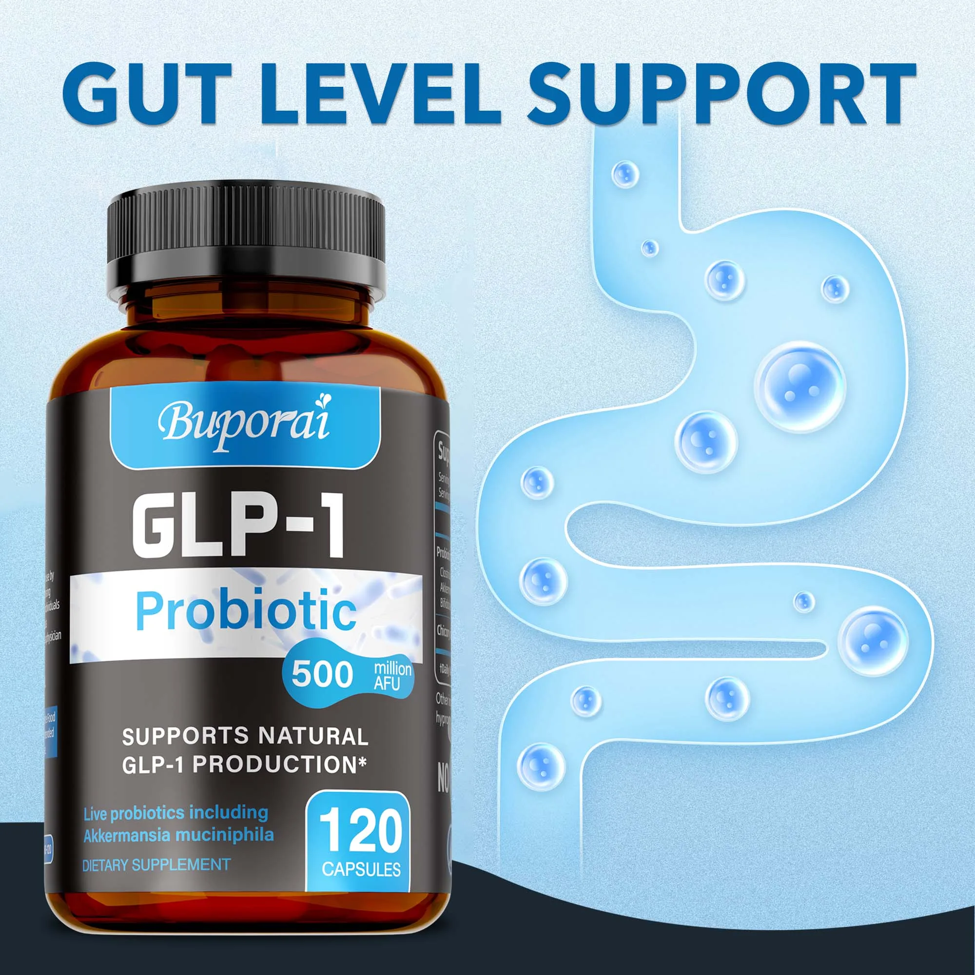 

GLP-1 Probiotic - Metabolism, Supports Intestinal Health, Promotes Digestion and Absorption, Enhances Energy, Improves Immunity