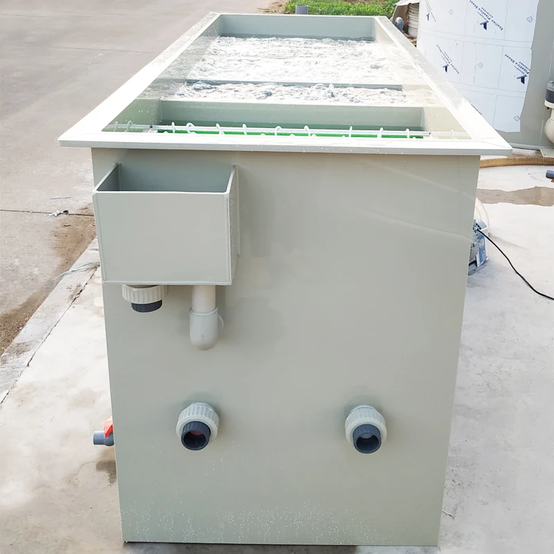 Mbbr Bio Media Filter for Recirculating Aquaculture System Bio Flilter Equipment