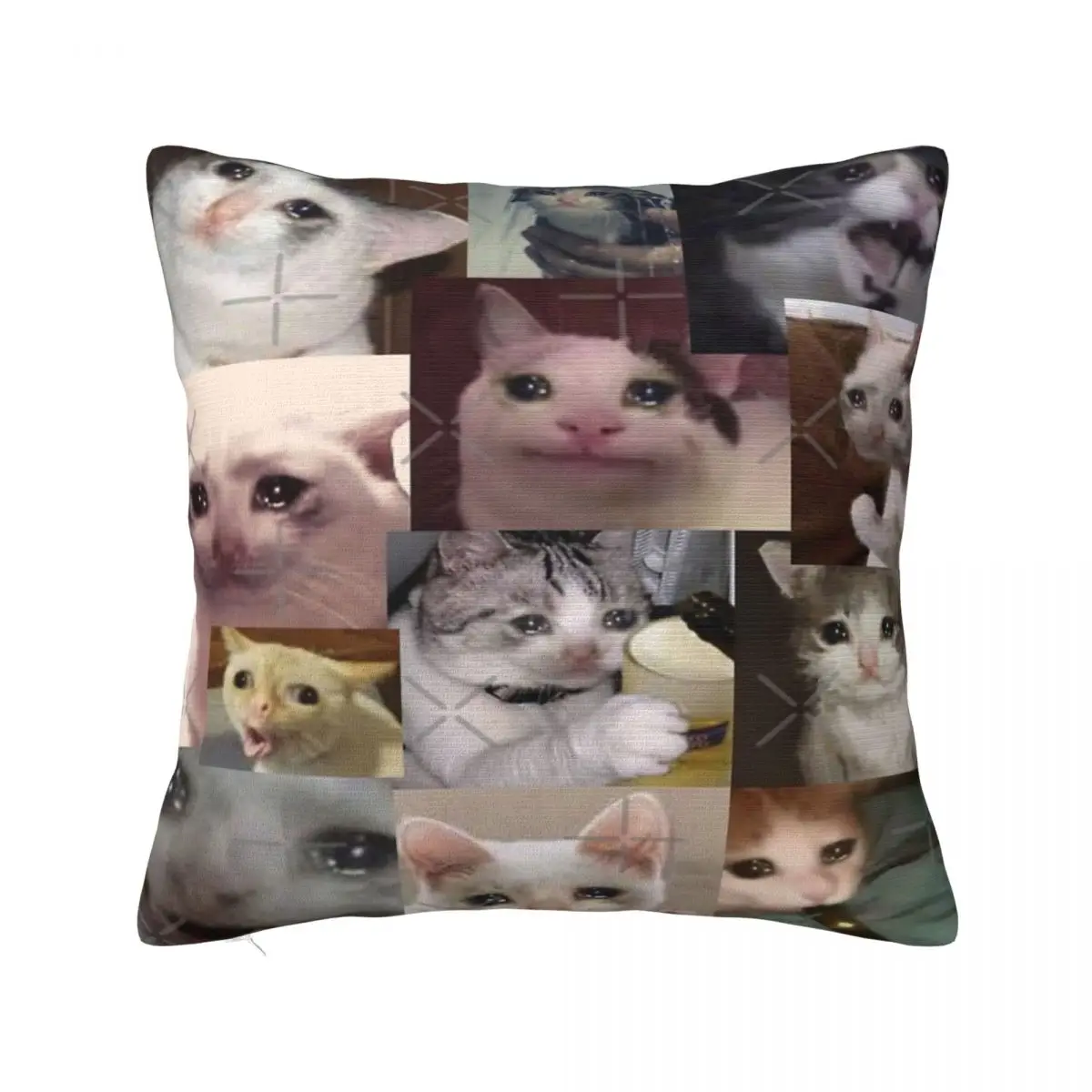 Crying Cat Memes 905 Pillowcase Cushion Sofa Throw Pillow Cushion Cover Anime Pillowcase Customizable